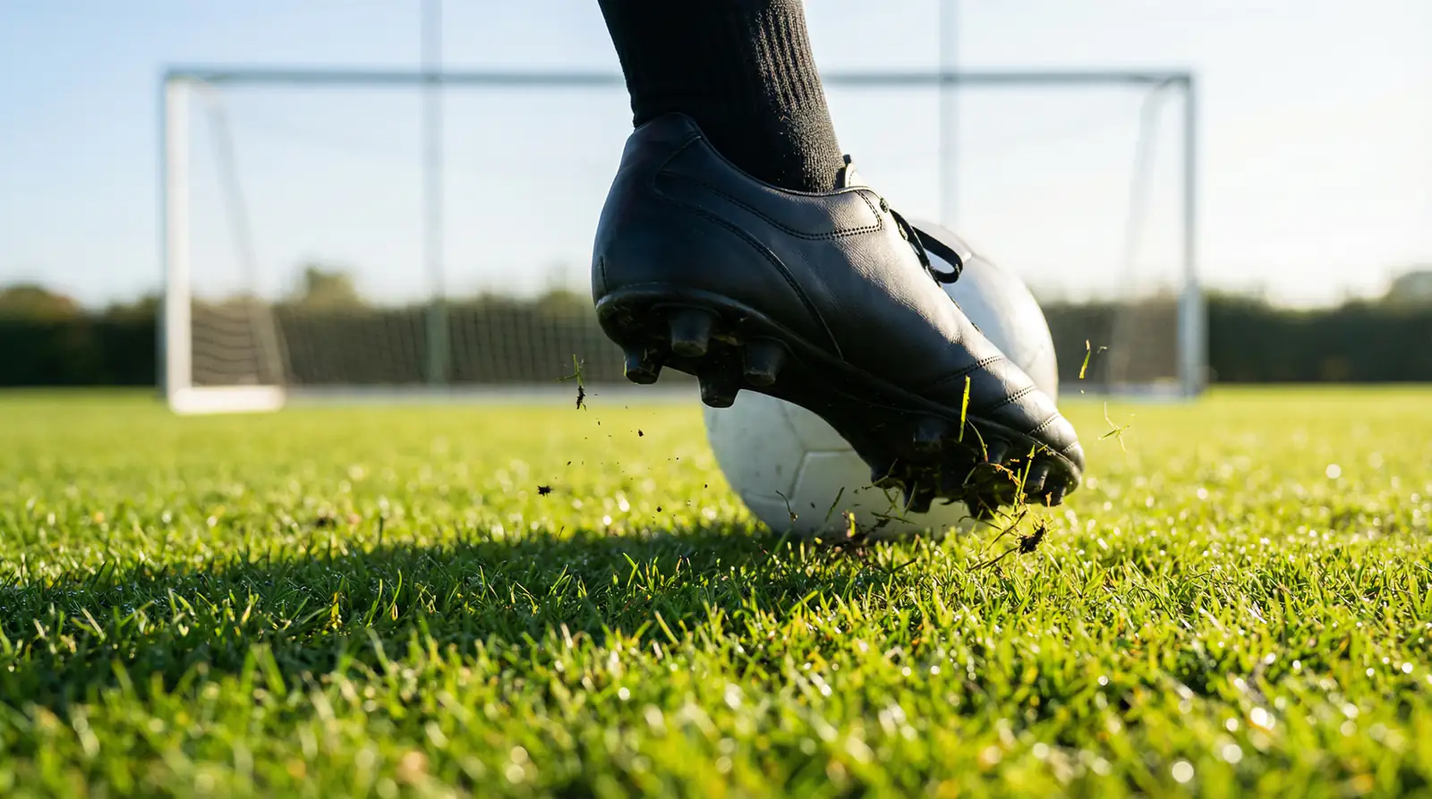 Análisis del mercado de máximo goleador en la Ligue 1 con estadísticas y factores clave